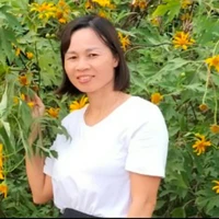 Cô Hoa