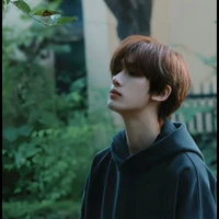 Đinh Trình Hâm