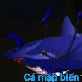 cả mập xanh