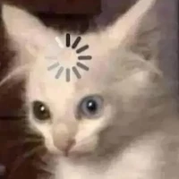 hệ thống của chance