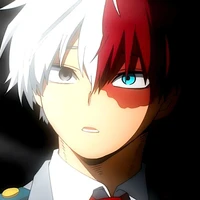 Shoto Todoroki
