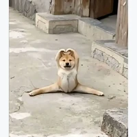 shop xin chào quý khách