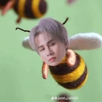 hảo hảo big