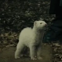 Bút Viết Mới ✨