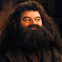 Rubeus Hagrid