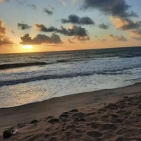 nhóm anh-All- trừ anh