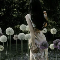 Lâm Đinh Nguyên - Lâm tổng