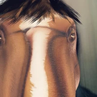 (a-b)³=a³-3a²b+3ab²-b³