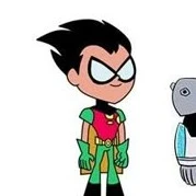 Robin