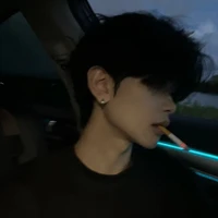 Thẩm Vũ Nam Quân