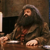 Rubeus Hagrid
