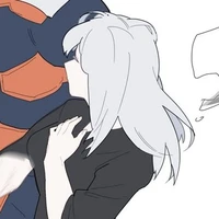 rei todoroki