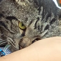 nhìn cái cóc j 🥲