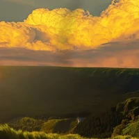 ( trừ ai thì trừ) all bot