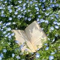 t/g (bth và đã tiêm dại)