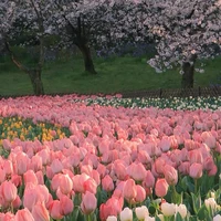 All nhóm em (trừ ai thì trừ)