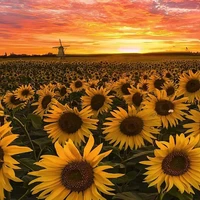 All nhóm hắn ( trừ ai thì trừ)