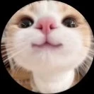 con cốt của tác giả ( An )