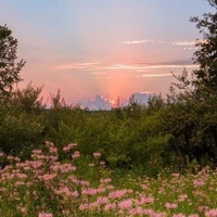 1 số GVcountruyhumans