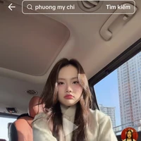 phương mỹ chi