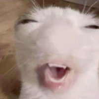 tg điển siêu đepzai 😛😛😛