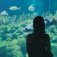 Đường Thanh Vân