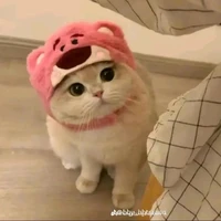 tg