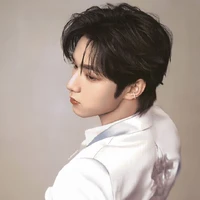 Lưu diệu văn
