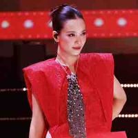 Phan Lê Ái Phương 