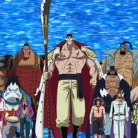 băng hải tặc râu trắng