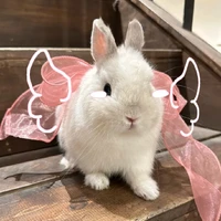 Hệ thống -FiuFiu-