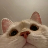 All ( - Trừ ai thì trừ )