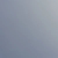 t/g