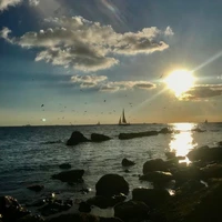 All – tùy trường hợp chỗ ở