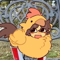 Shedletsky ( gà béo)