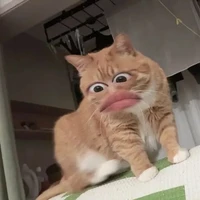 Tác giả cute phô mai que của mọi ngừi