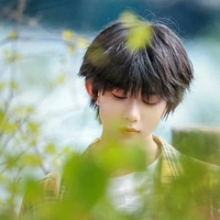 Trần dịch hằng