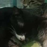 Mực(Mực SiNhan🥰)