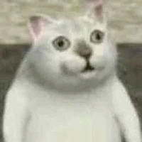 Gram0