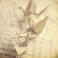 Thông Hương Thông Hương °°°