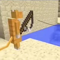 mèo