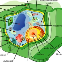 All trừ ai thì trừ
