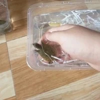 tác giả và bé ba ba con