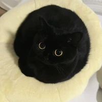 Mun Mun _ Đường Linh Miêu [ Dạng mèo ]