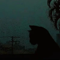 Đỗ Tiên Mina😸