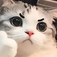 chủ tus