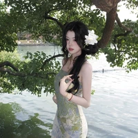 Dương Tô Tô