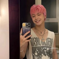 Nguyễn Thái Sơn (mèo hồng)