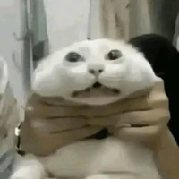 t/g black si đà💅