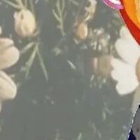 cân đủ nhân vật 